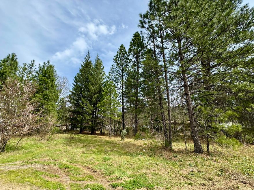 Super affordable building lot, or place your new mfg home per CJ City guidelines*,  with city water and sewer available.  (*CJ City Municipal Code 17.20.080, Sec C.)
Level terrain and convenient location in this cozy SW Oregon community.  All information is deemed reliable but not verified; anyone considering purchasing this property should perform their own investigation into the uses, types of structures, property boundaries, and condition of the property.