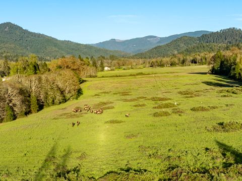 Tiny photo for 1775 Leland Road, Wolf Creek, OR 97497 (MLS # 220219255)