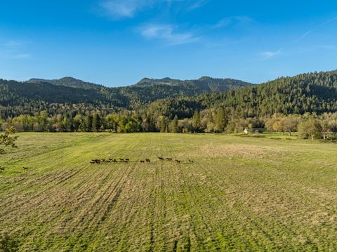 Tiny photo for 1775 Leland Road, Wolf Creek, OR 97497 (MLS # 220219255)