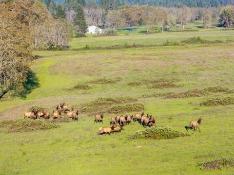 Tiny photo for 1775 Leland Road, Wolf Creek, OR 97497 (MLS # 220219255)