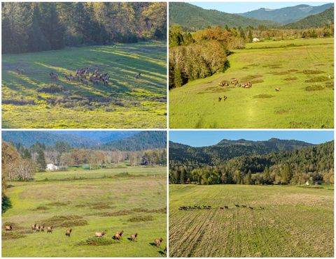 Tiny photo for 1775 Leland Road, Wolf Creek, OR 97497 (MLS # 220219255)