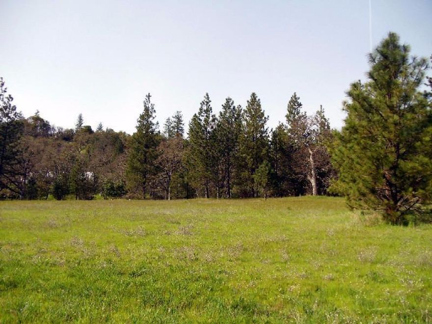 Prime Building Site! This is a beautiful, hard to find parcel with a nice mixture of open field, mature woods and seasonal creek. Build your dream home in a perfect location offering gorgeous views of the Applegate Valley and mountains beyond. To the back enjoy your own private wooded trails with a seasonal creek flowing along the side. This property has been well maintained over the years and will be easy to develop with its existing well, septic approval and easy access to utilities. Located in a quiet rural neighborhood with a mixture of small acreage residents, large farms and vineyards. Conveniently located minutes away from all the country conveniences of the Ruch community and public access to the Applegate River recreation.