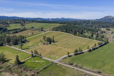 Photo of 25357 High Pass Road, Junction City, OR 97448 (MLS # 220219324)
