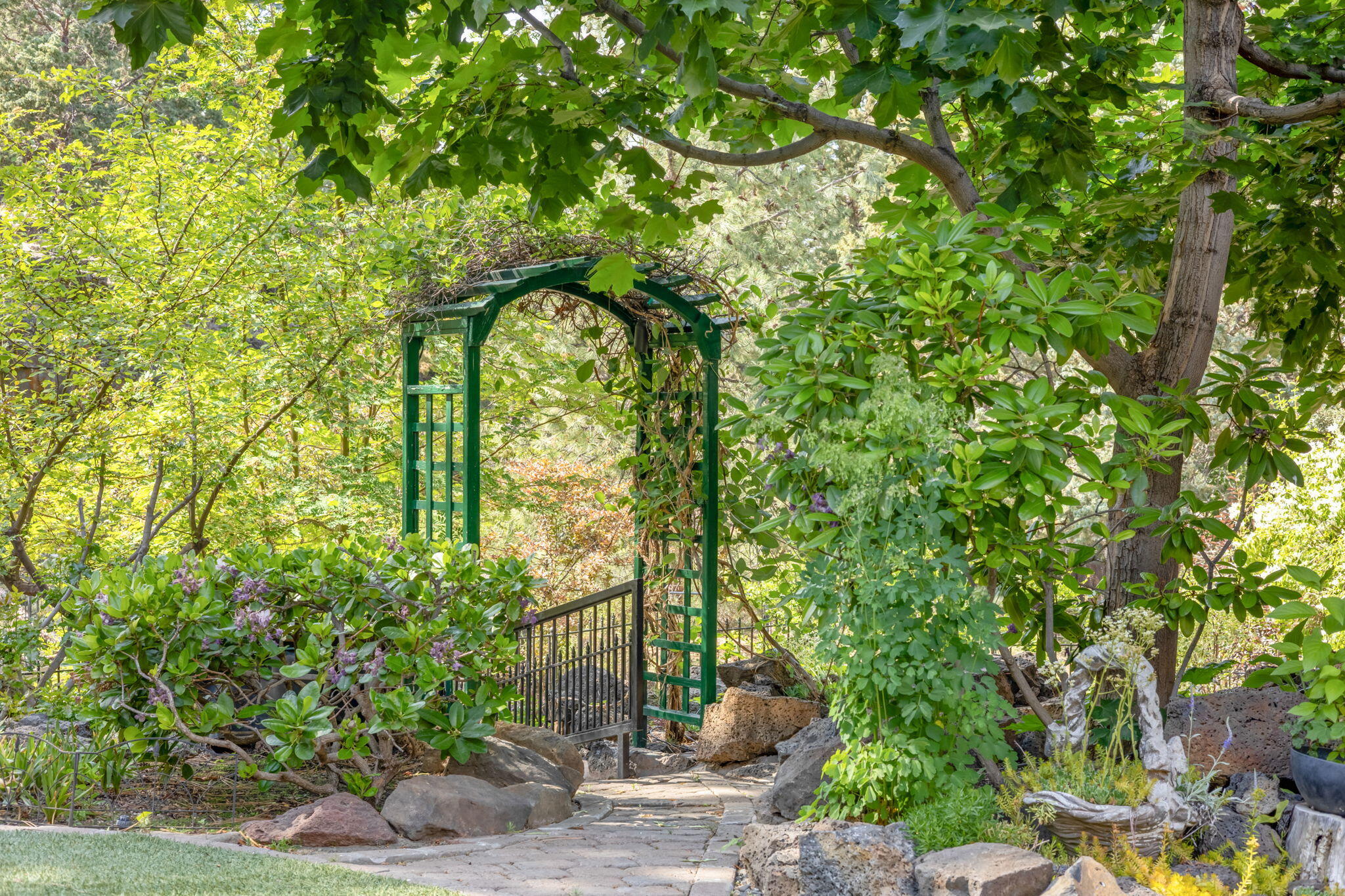 Elkhorn Ridge - Residential