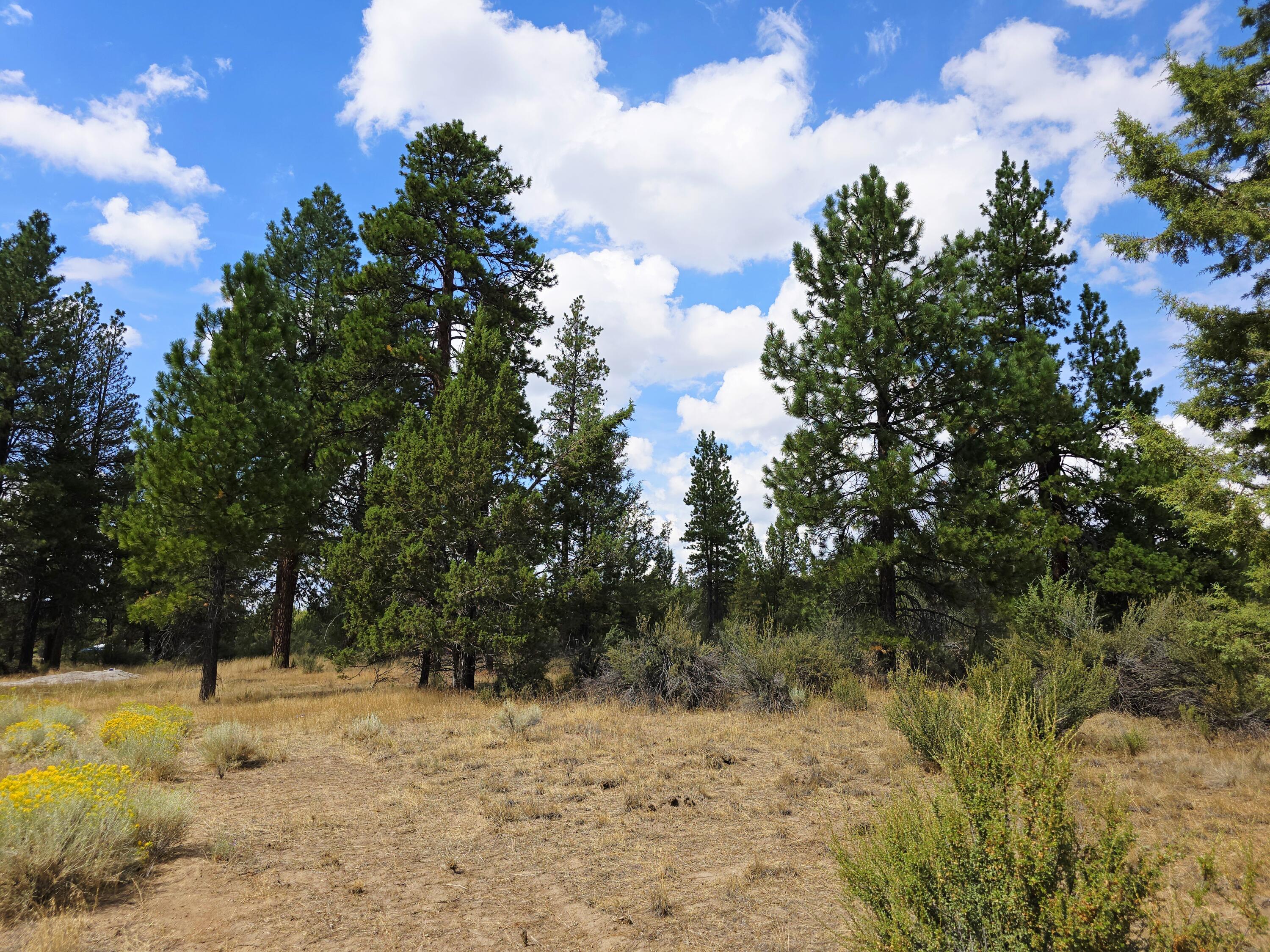 Klamath Falls Forest Estates -Hwy 66 Unit -Plat No. 2 - Land