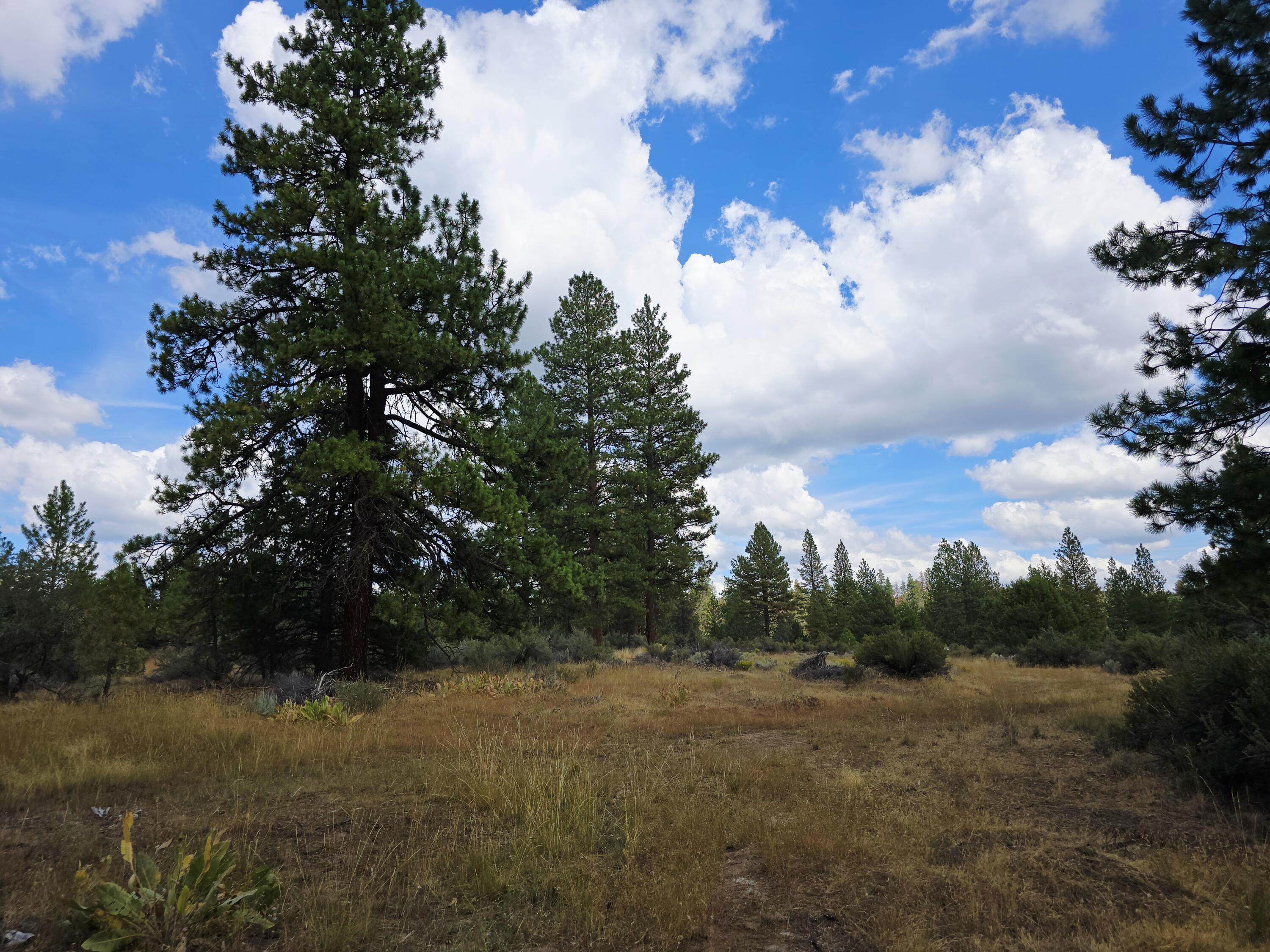 Klamath Falls Forest Estates -Hwy 66 Unit -Plat No. 2 - Land