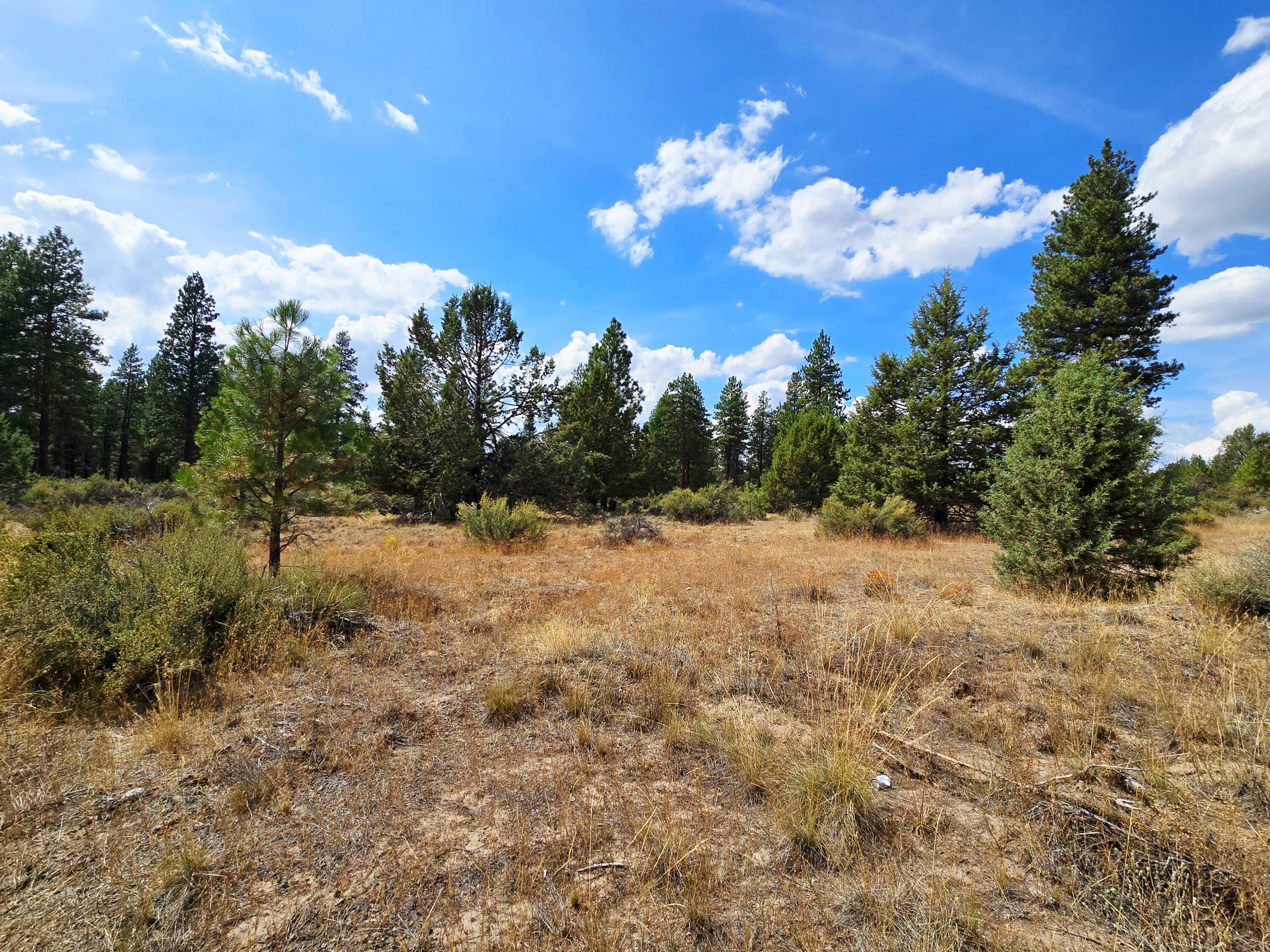 Klamath Falls Forest Estates -Hwy 66 Unit -Plat No. 2 - Land