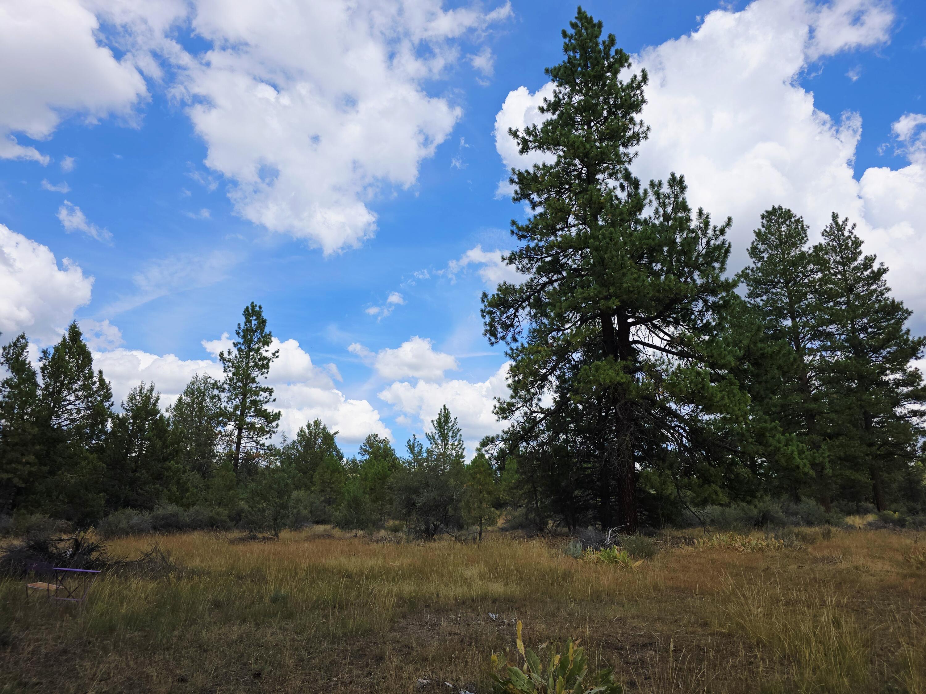 Klamath Falls Forest Estates -Hwy 66 Unit -Plat No. 2 - Land