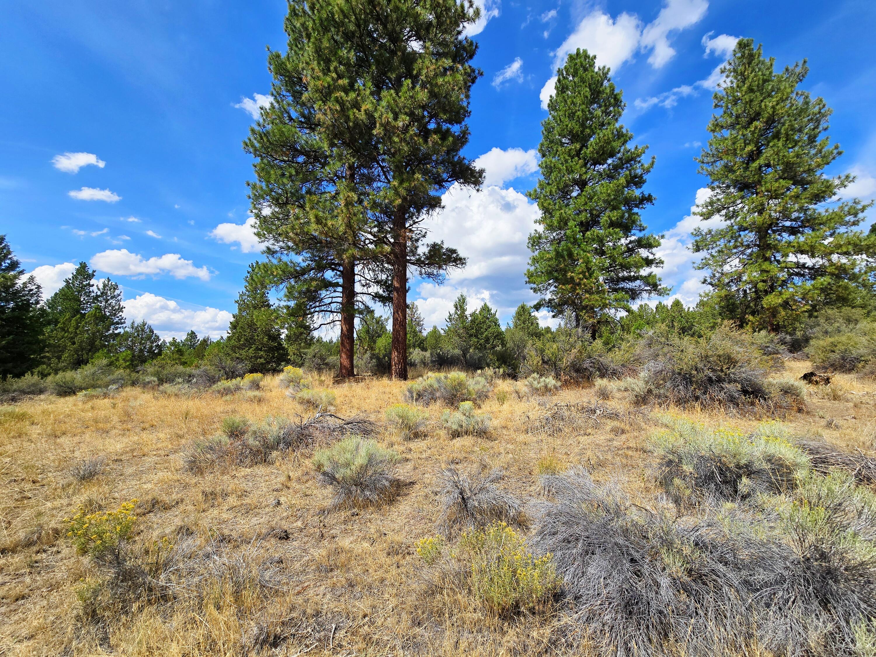 Klamath Falls Forest Estates -Hwy 66 Unit -Plat No. 2 - Land