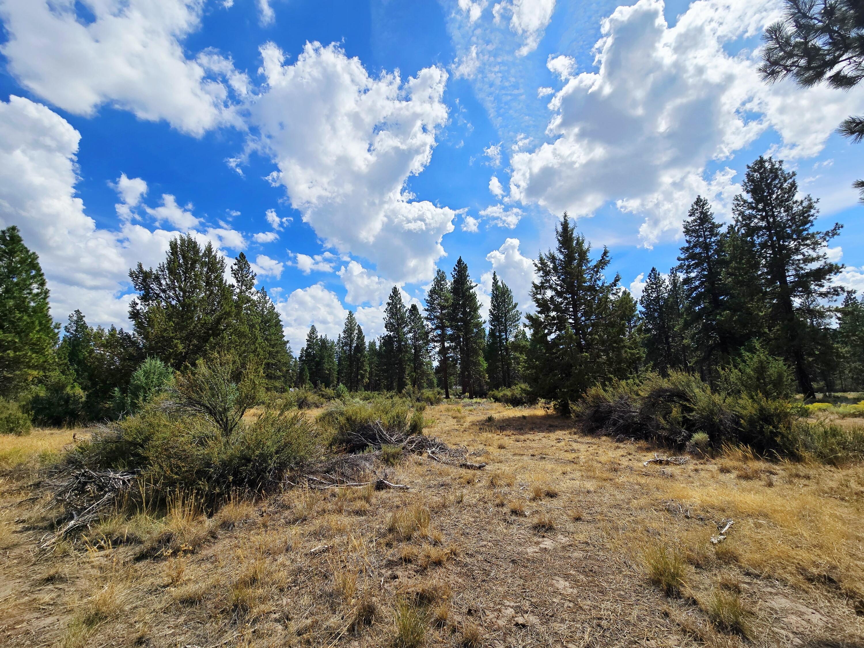 Klamath Falls Forest Estates -Hwy 66 Unit -Plat No. 2 - Land
