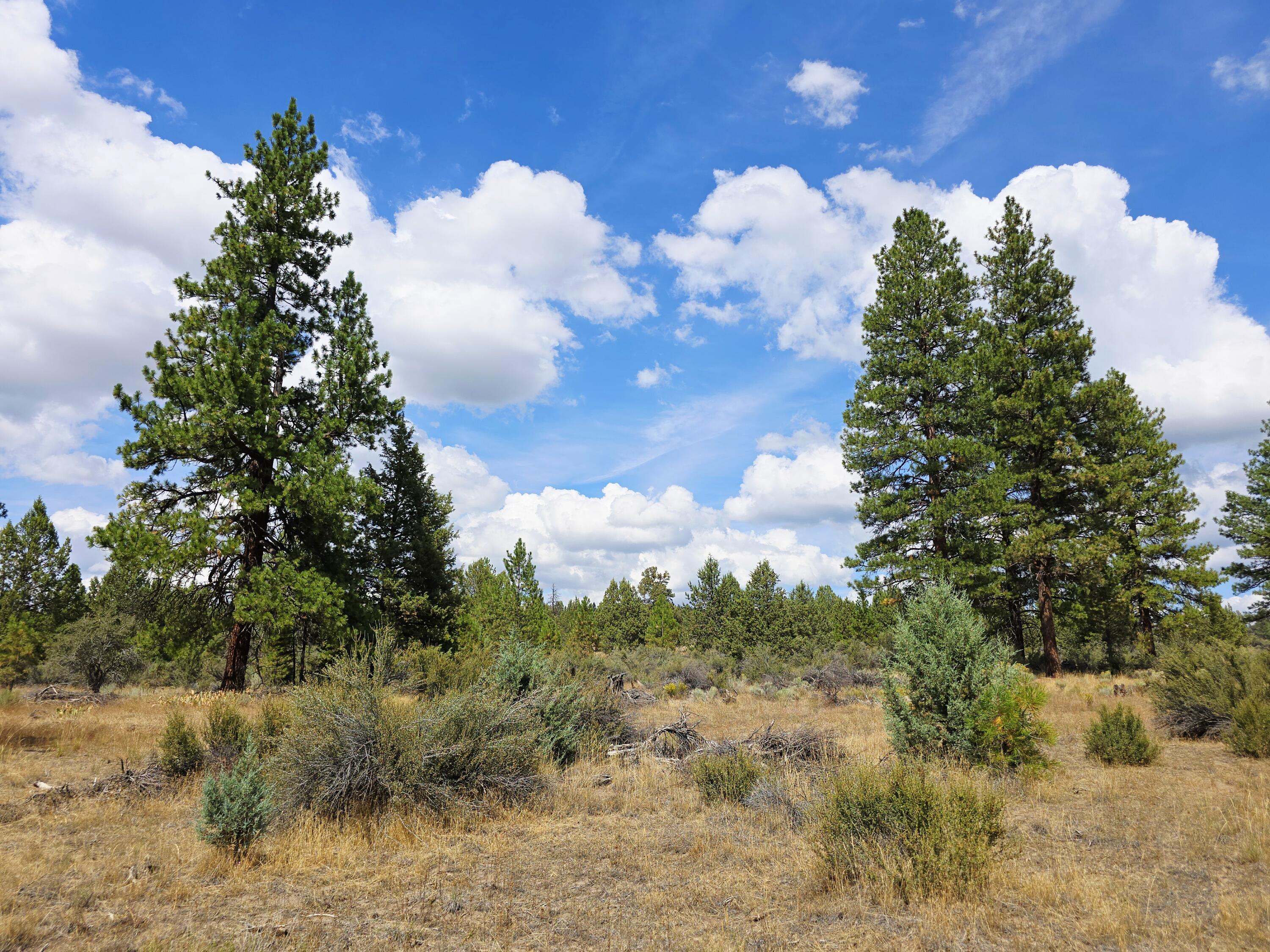 Klamath Falls Forest Estates -Hwy 66 Unit -Plat No. 2 - Land