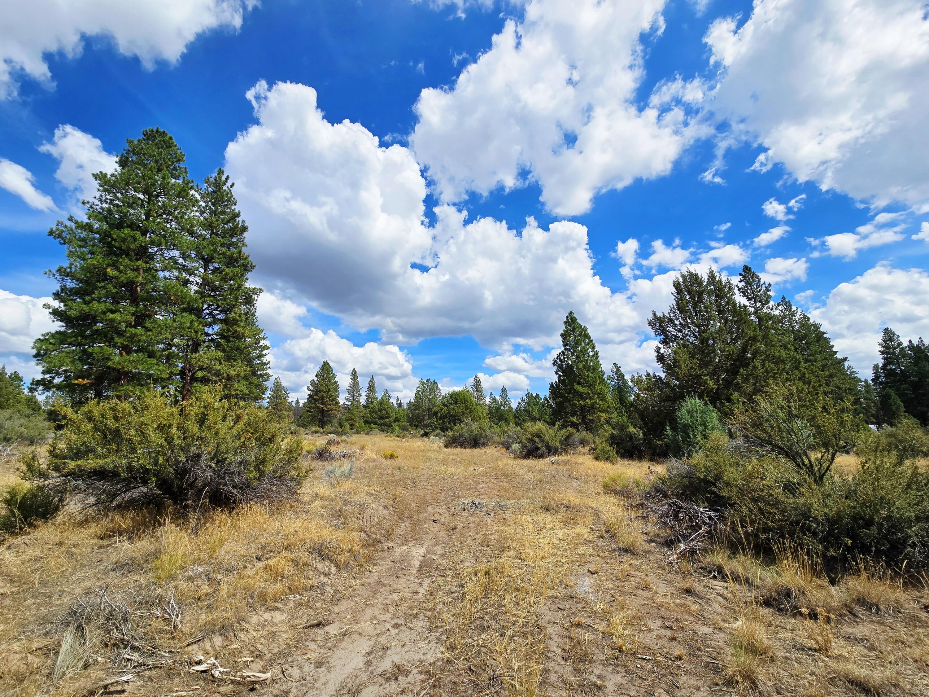 Klamath Falls Forest Estates -Hwy 66 Unit -Plat No. 2 - Land