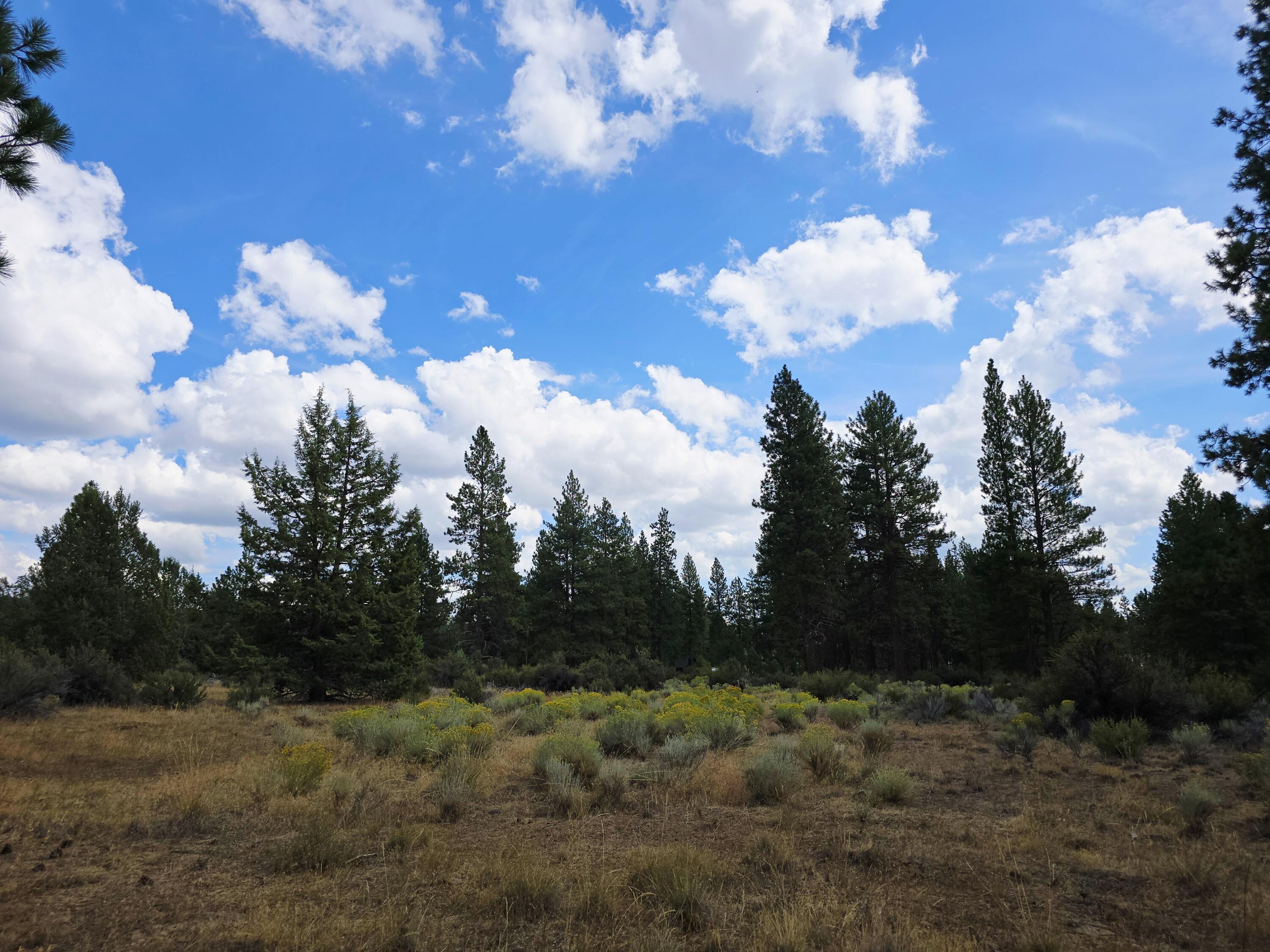 Klamath Falls Forest Estates -Hwy 66 Unit -Plat No. 2 - Land