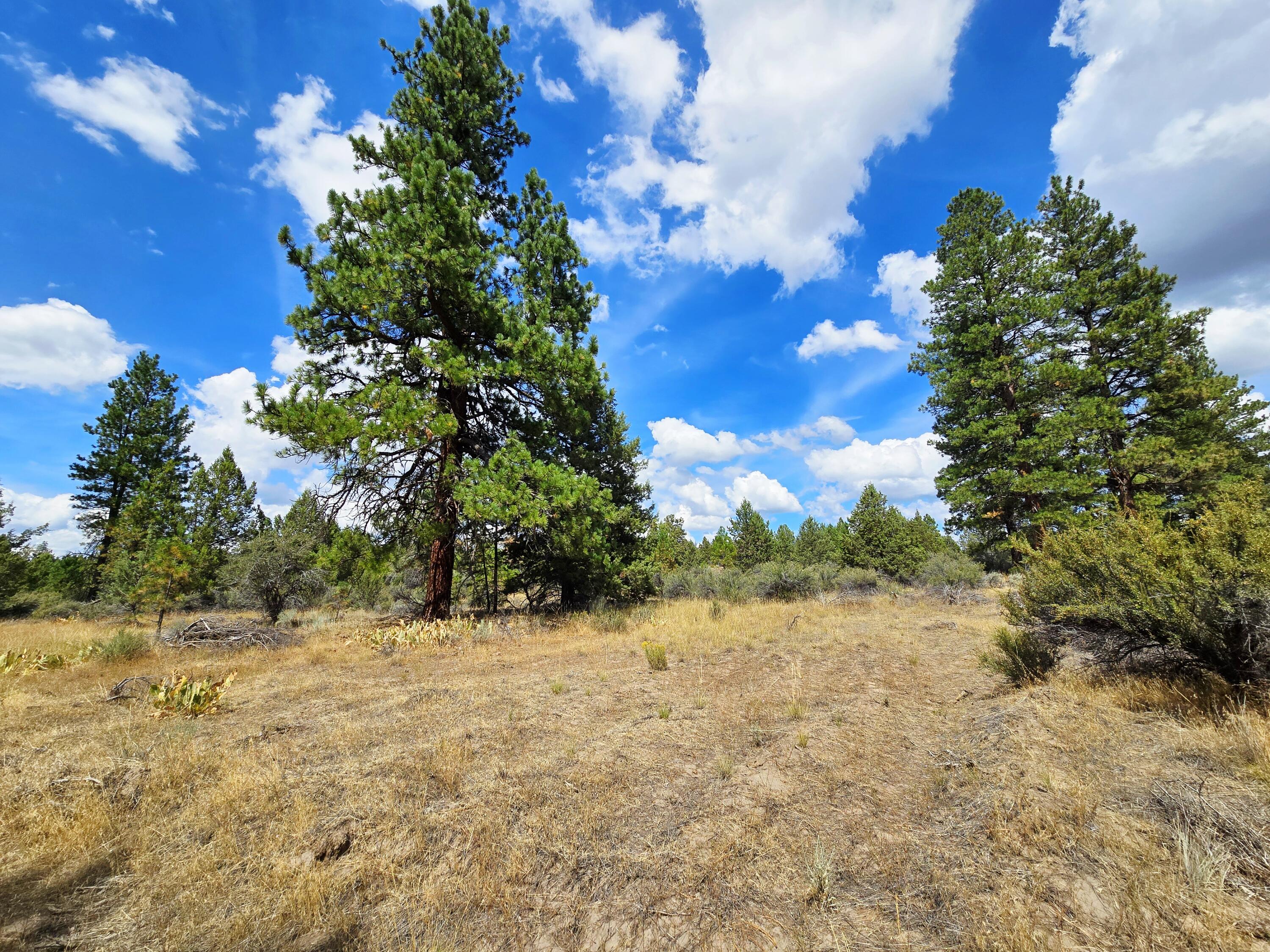 Klamath Falls Forest Estates -Hwy 66 Unit -Plat No. 2 - Land