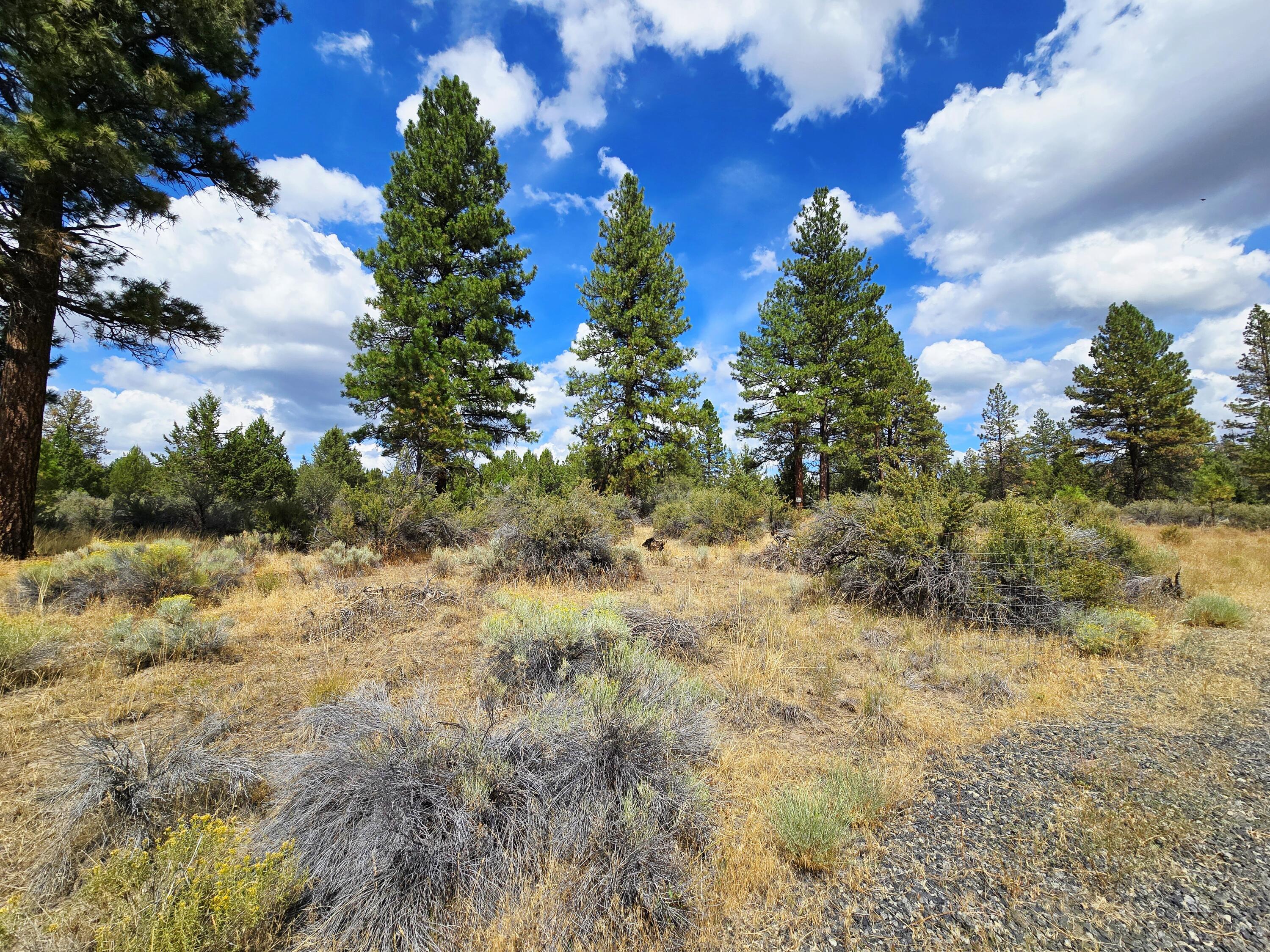 Klamath Falls Forest Estates -Hwy 66 Unit -Plat No. 2 - Land