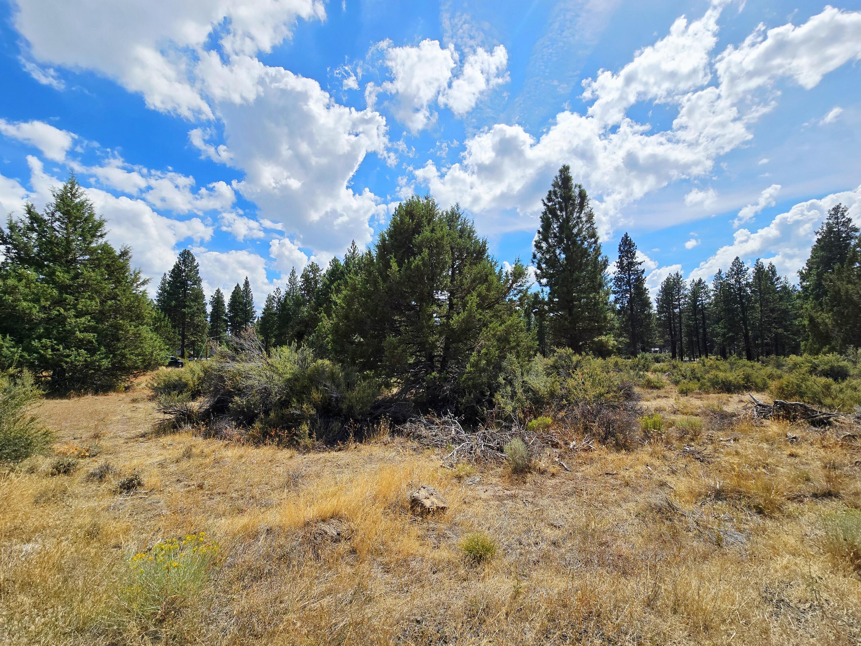 Klamath Falls Forest Estates -Hwy 66 Unit -Plat No. 2 - Land