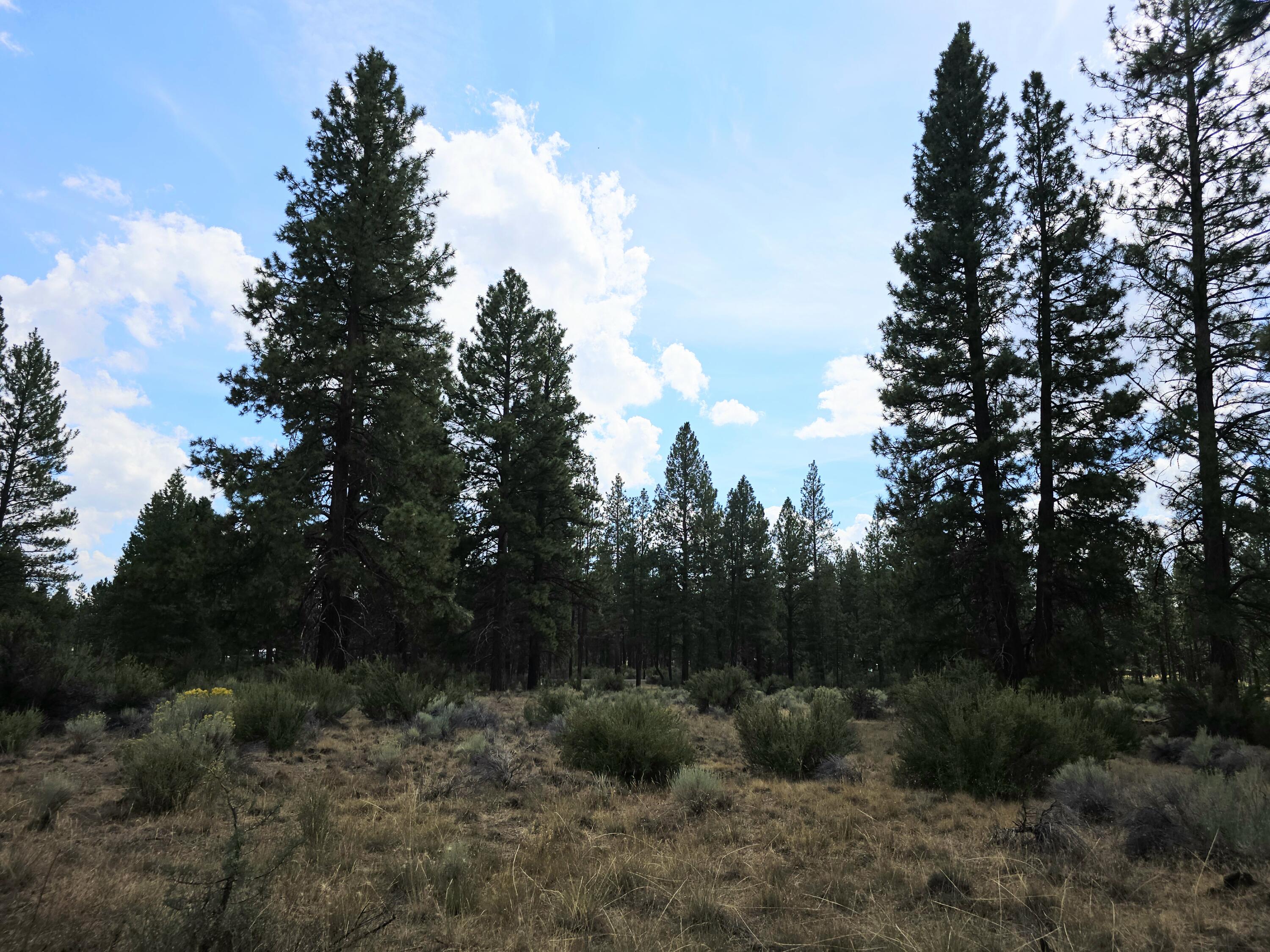 Klamath Falls Forest Estates -Hwy 66 Unit -Plat No. 2 - Land