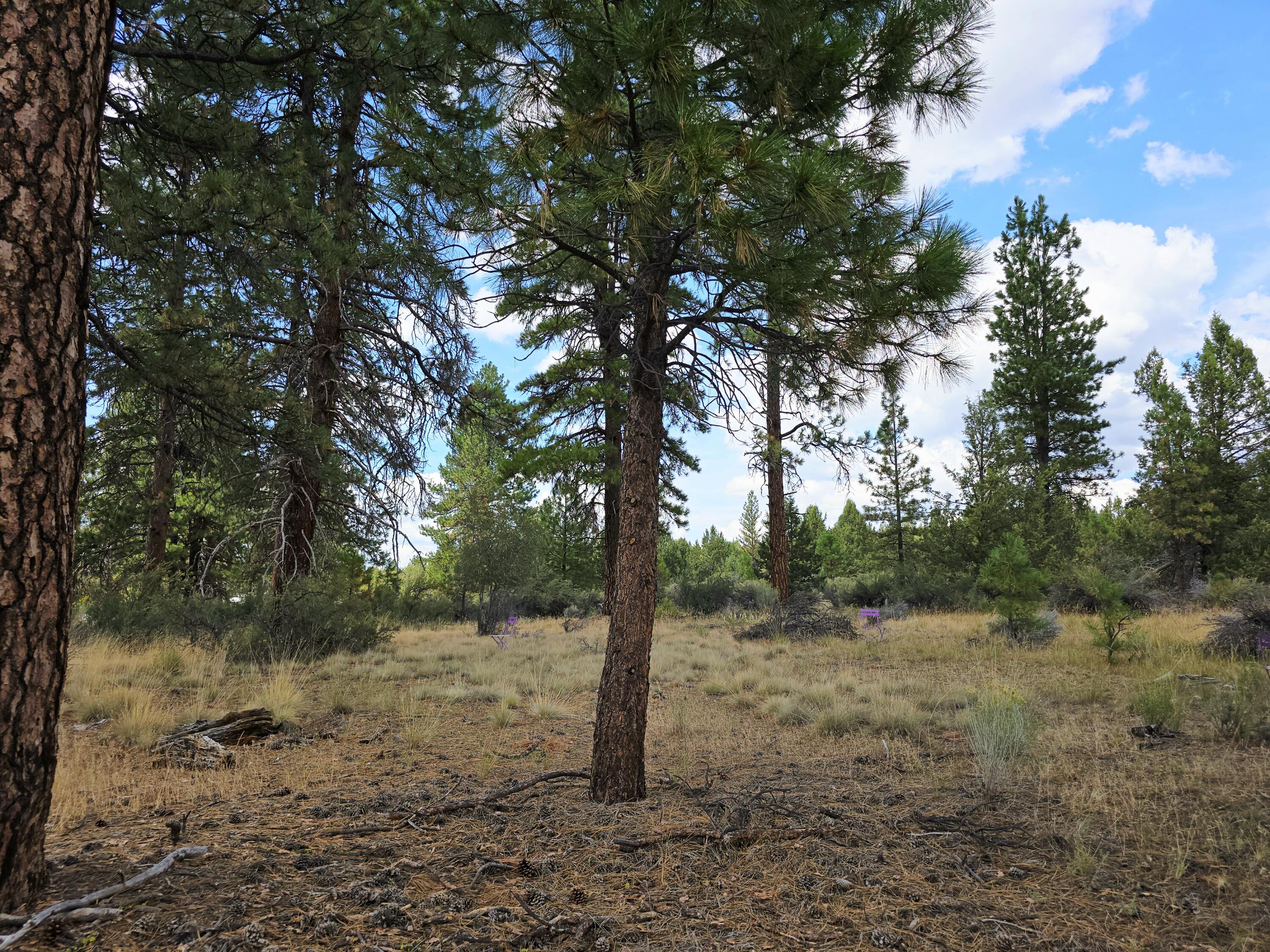 Klamath Falls Forest Estates -Hwy 66 Unit -Plat No. 2 - Land