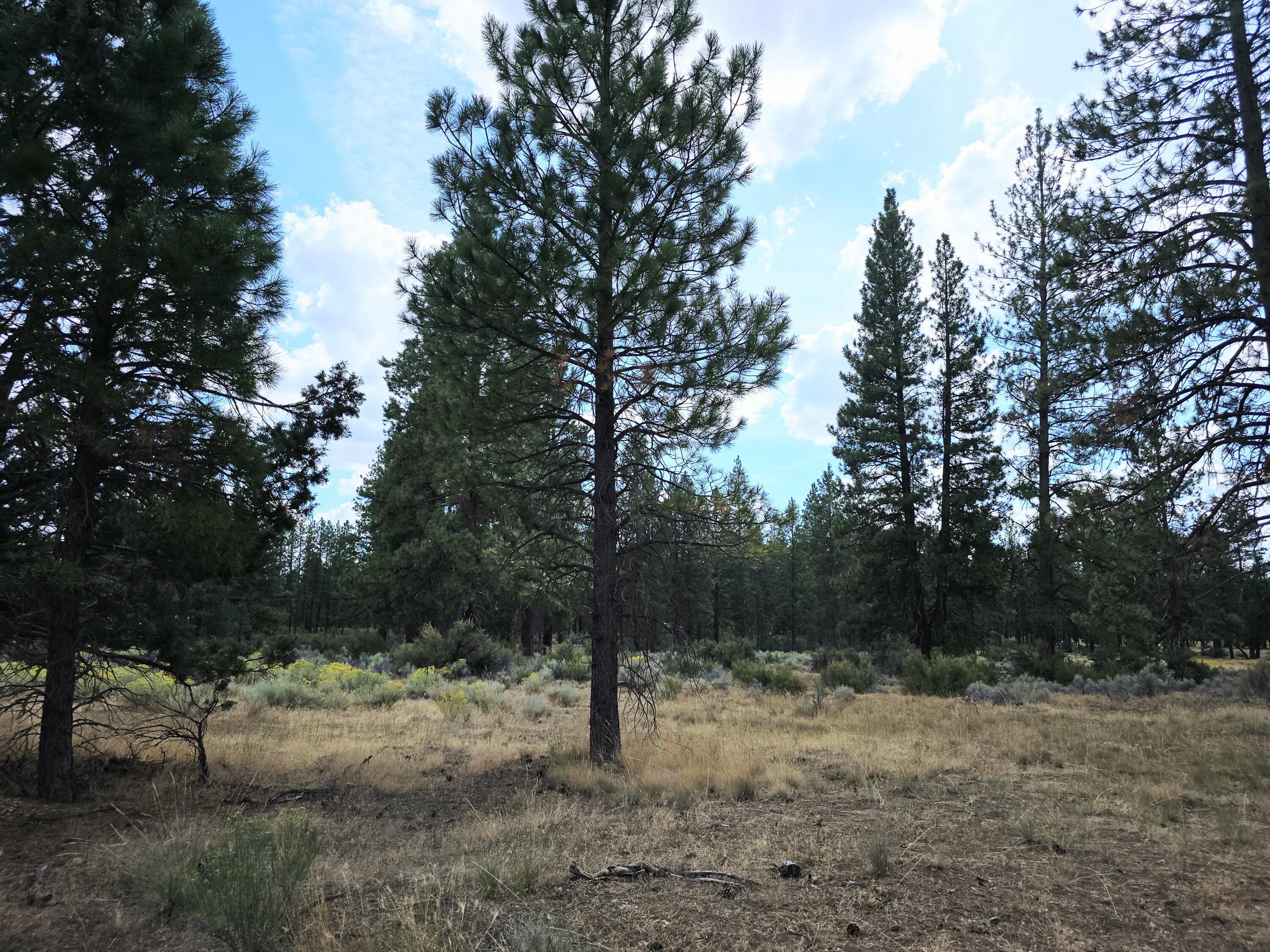 Klamath Falls Forest Estates -Hwy 66 Unit -Plat No. 2 - Land