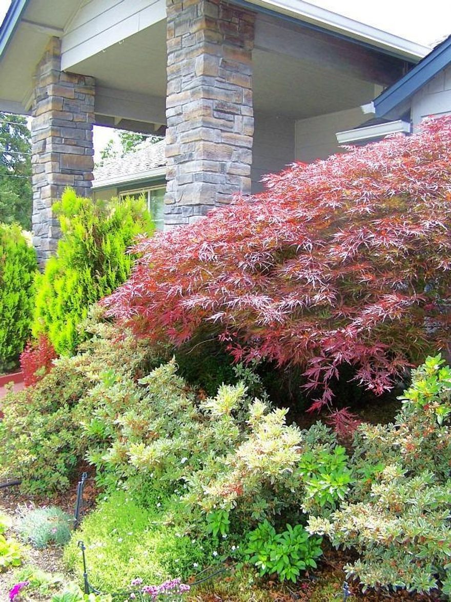 Kirk Chapman built this home in 2003. It offers 1774 square feet, three bedroom, two bath. Well thought out floor plan offers eat in kitchen and formal dining area currently used as office space. Split floor plan has two nice size bedrooms on one end and large master suite on the opposite side of the home. Closets were designed for those who love to shop but still haven't discarded their high school prom cloths. Summer evenings should be spent on the covered patio in the manicured back yard. This is a very nice home on a corner lot conveniently located close to hospital and shopping.