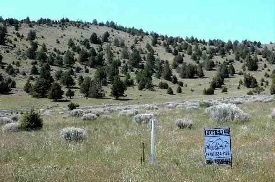This Beautiful 5 Acre Tract Has Septic Approval And Is Ready For Your Home. Great Horse Property, With Lots Of Wildlife And Is Near Bear Valley Eagle Refuge. Located Near Midland, Closer To Worden Area.