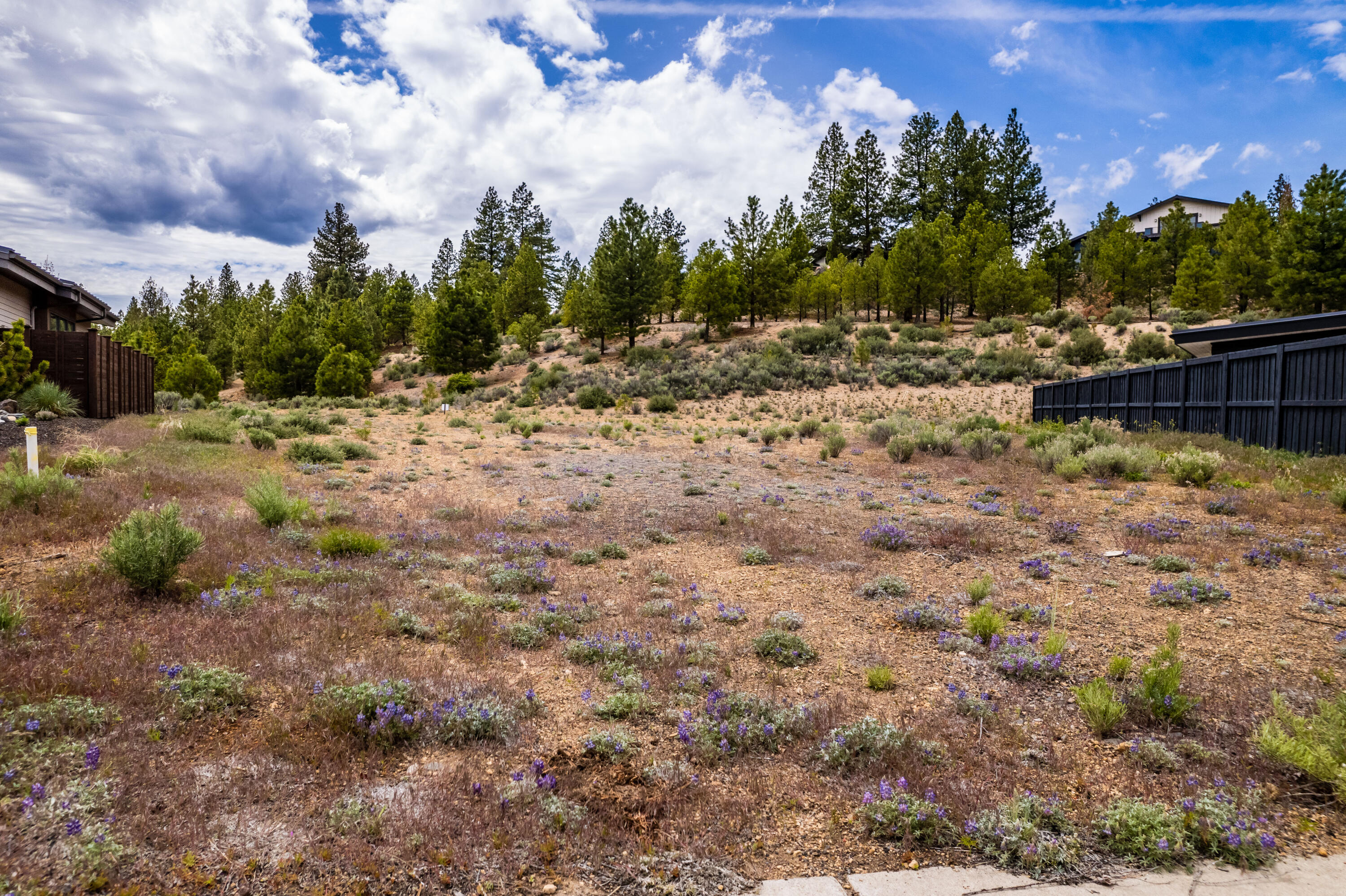 NorthWest Crossing - Land