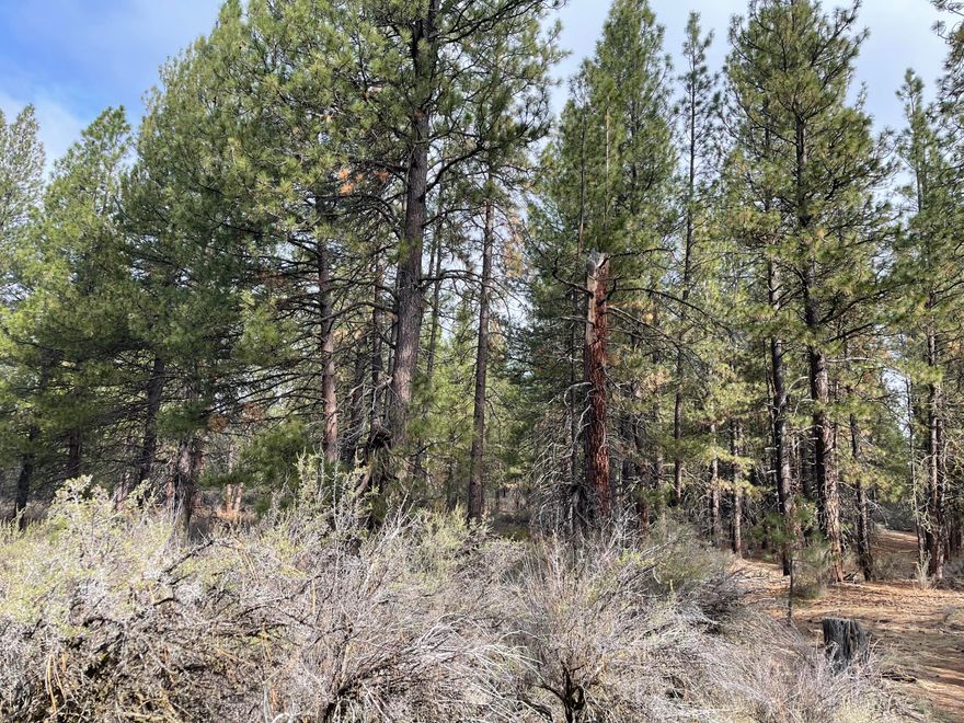 We are excited to offer a 1.04-acre lot in the Williamson River Pines Subdivision, located in a cul-de-sac along Waterview Way. This beautiful parcel features numerous mature trees and provides landowners access to a large area along the Williamson River, perfect for activities such as fishing, picnicking, swimming, paddleboarding, or simply enjoying the sight of lovely waterfowl. The seller is also offering an adjacent parcel for sale, which can be purchased separately. Buy both lots to build a second home, making it ideal for family gatherings or friends. This parcel is just a short walk from the Williamson River and a quick 4-5 minute drive to the Chiloquin Town Center for shopping. Additionally, it's only 8-10 minutes away from enjoying recreation at Agency Lake or the Sprague River.