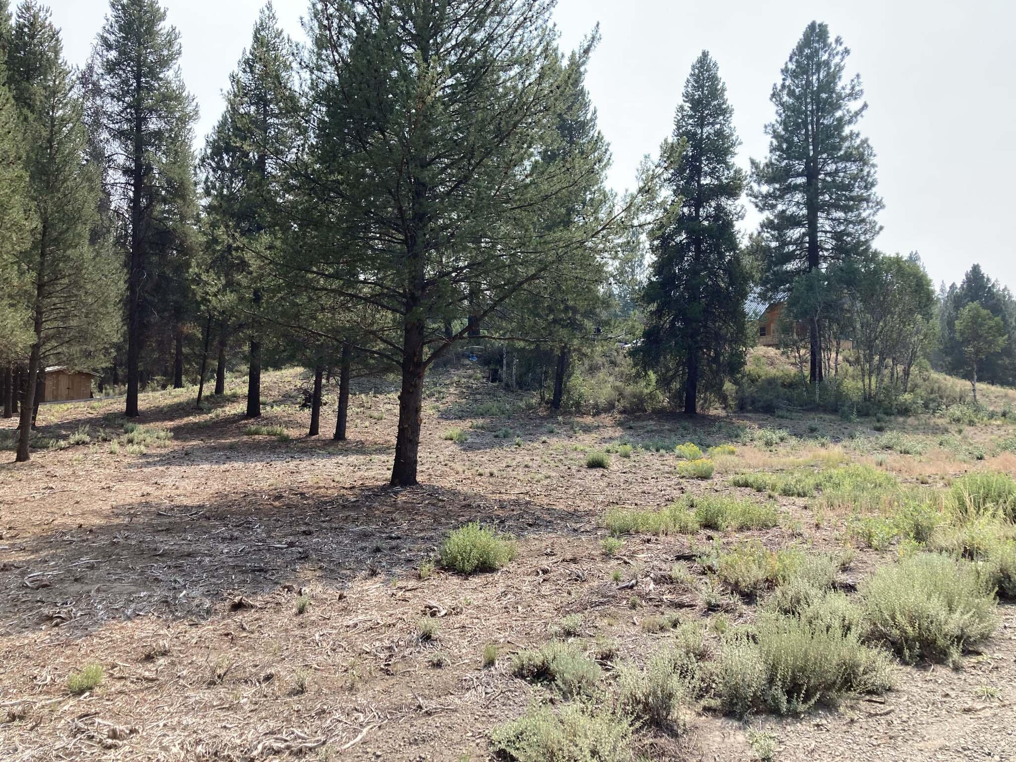 Rainbow Park On The Williamson - Residential