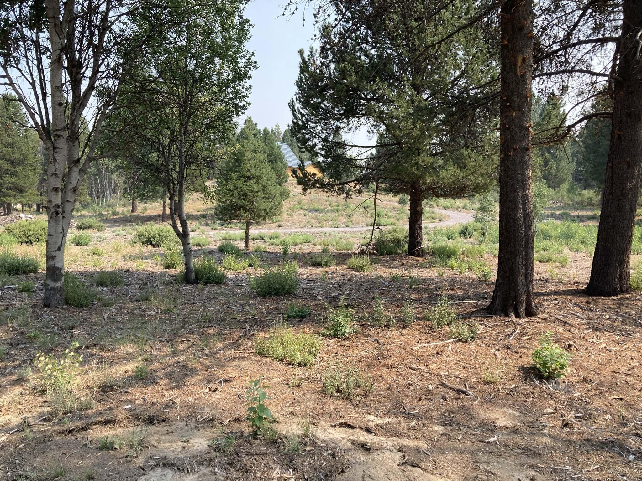 Rainbow Park On The Williamson - Residential