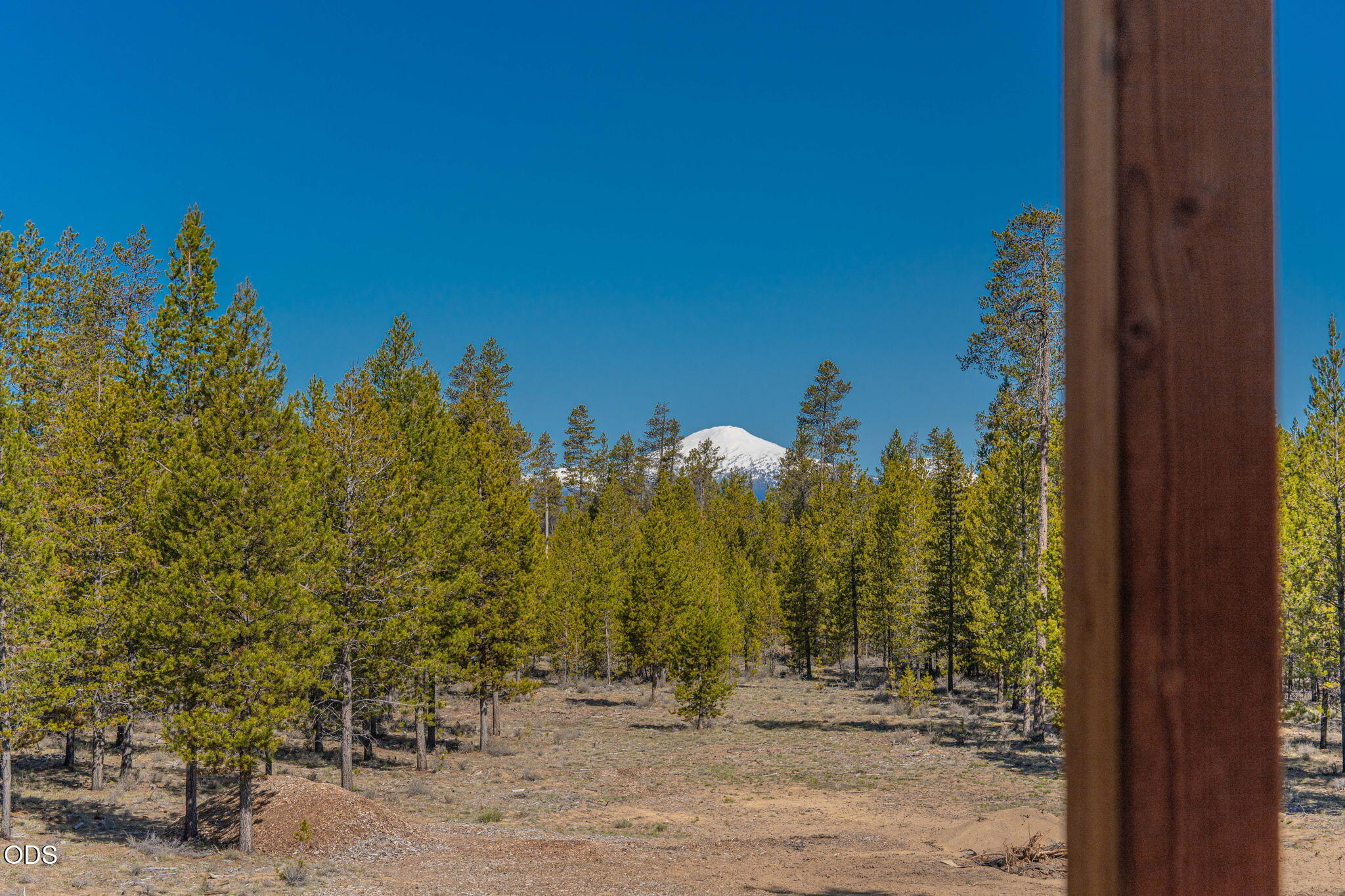 16780 Sun Country Drive