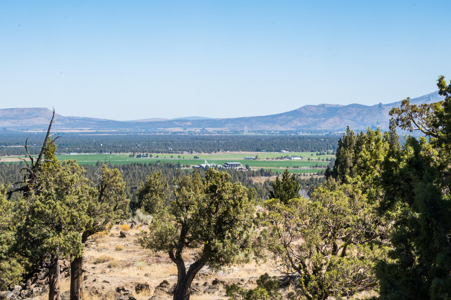 Odin Crest Estate - Residential