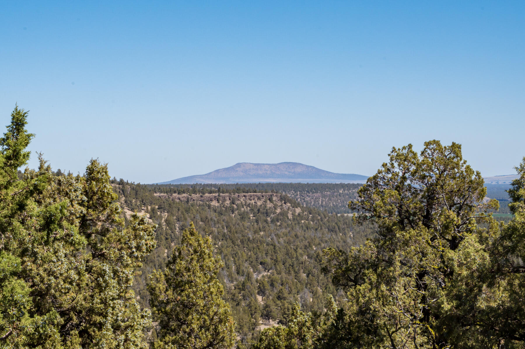 Odin Crest Estate - Residential