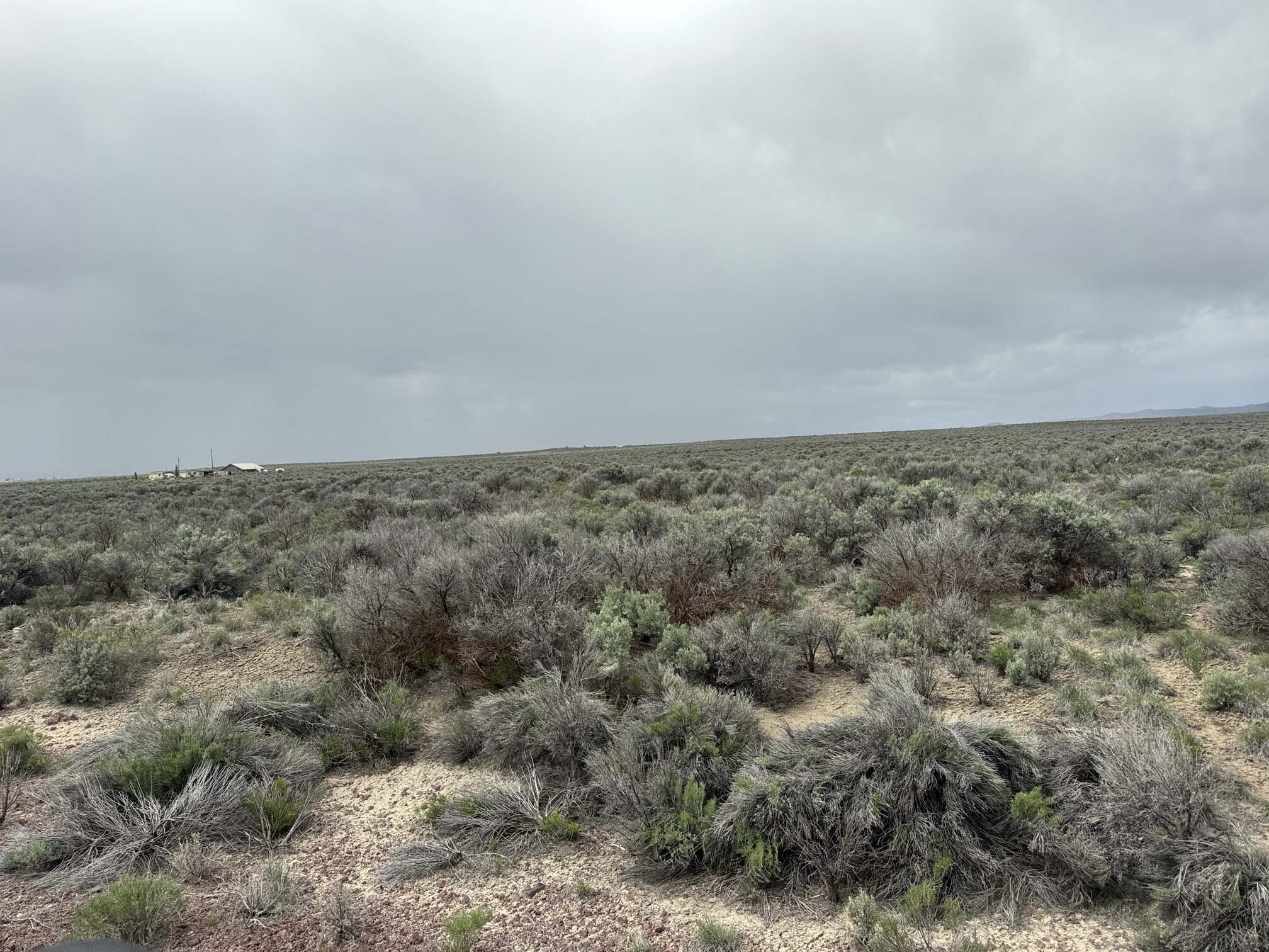 Fossil Lake Road 100