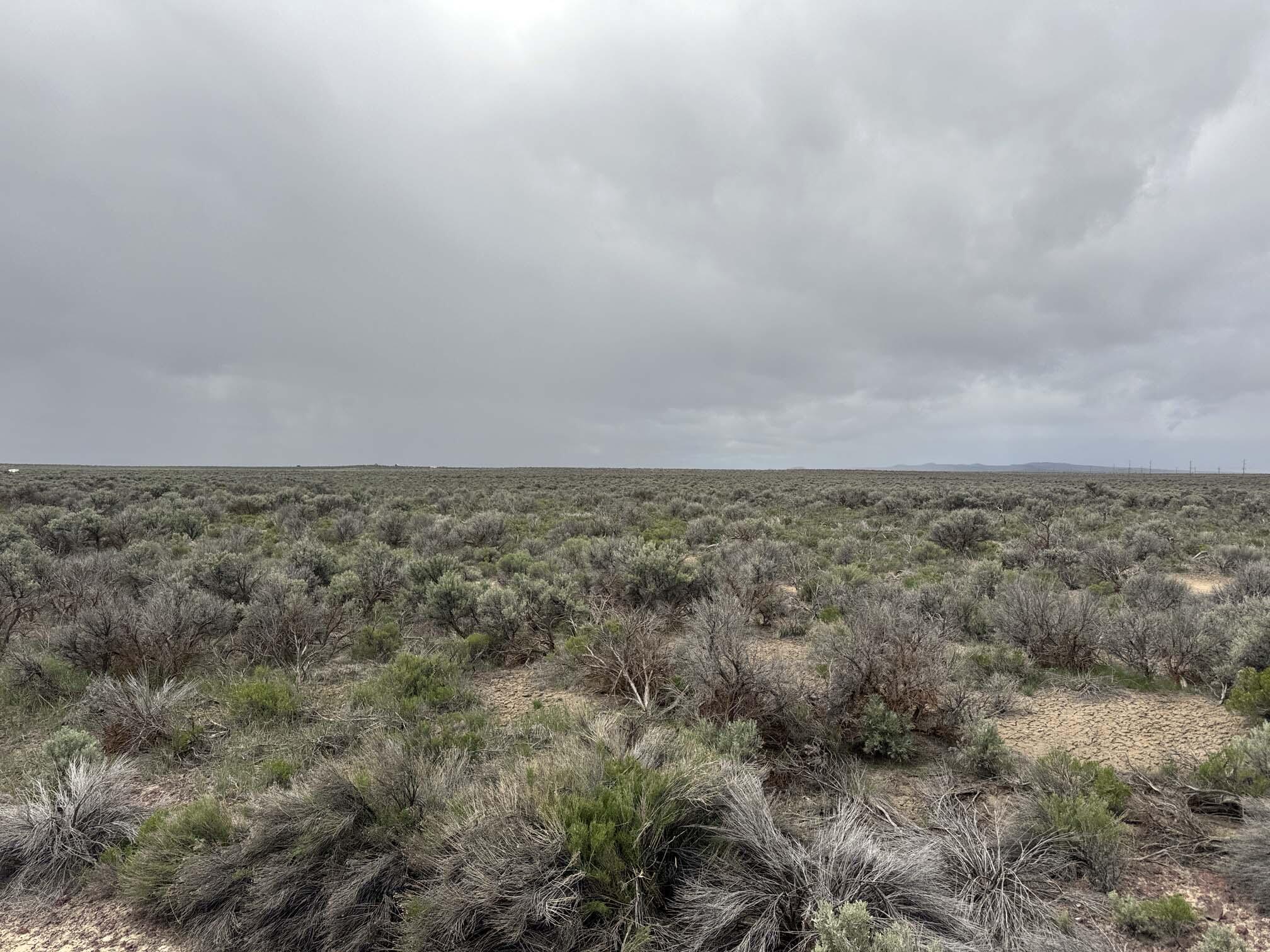 Fossil Lake Road 100