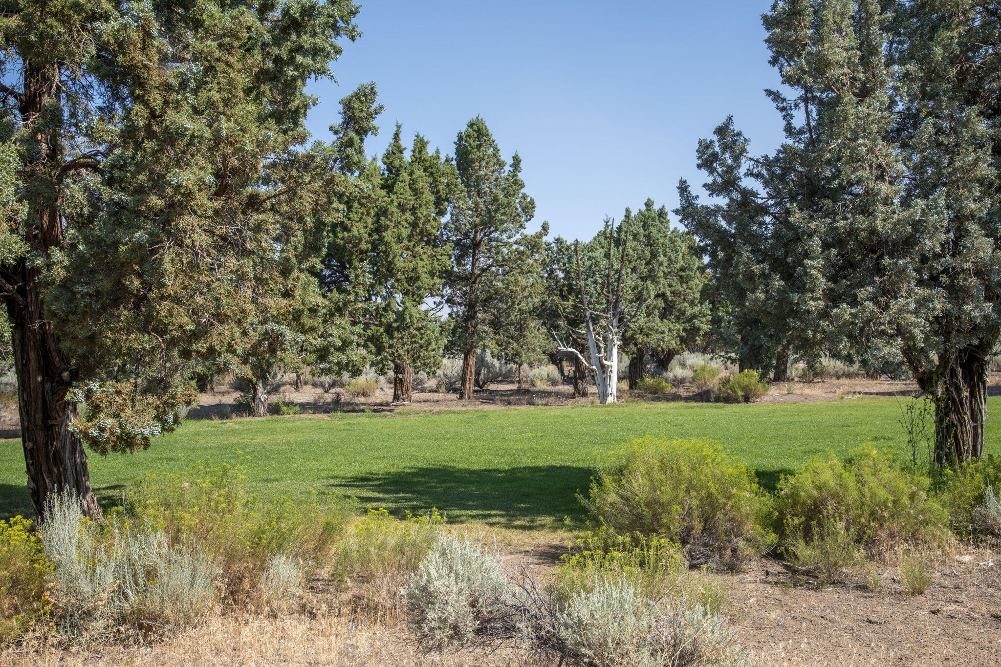 Brasada Ranch - Residential