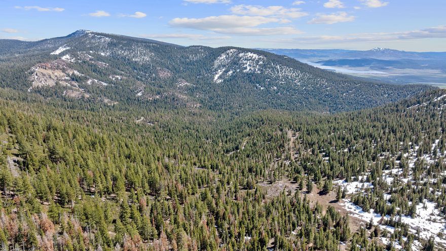 Home to deer, elk, bear, mountain lion, turkey & other wildlife, Razorback Ridge is perfect for outdoorsmen. 3,648± acres of pure mountain pleasure & just a short 1hour drive east of Klamath Falls, Oregon, Razorback Ridge has much to offer. With elevations from 5,100' to over 7,300' & Howard Creek that meanders for over 1.5 miles through the lower elevations. The views are endless, but possibly the most outstanding view of all is from atop Razorback Ridge itself. With the potential for 4 landowner preference tags for mule deer & Rocky Mountain elk (Buyer to verify w/ODFW), the recreation & outdoor experiences waiting for you are astounding. Surrounded by thousands of acres of Fremont National Forest (USFS), your adventures could be endless. Razorback Ridge is uniquely served by paved USFS Road #387, plus several internal roads for your exclusive use. There is a large stand of timber, primarily ponderosa pine & white fir, which adds much to the investment opportunity.