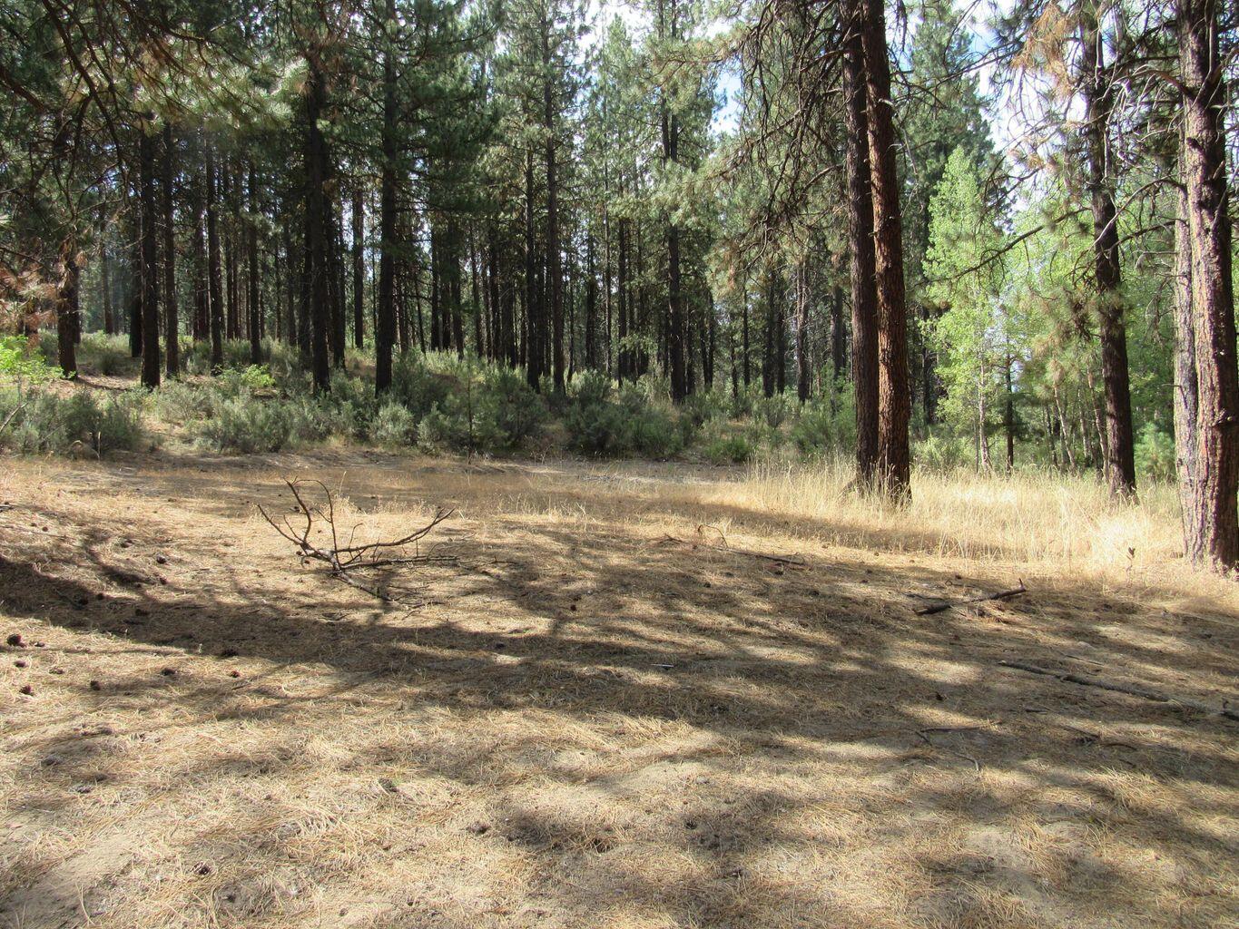 Chiloquin Acres - Land