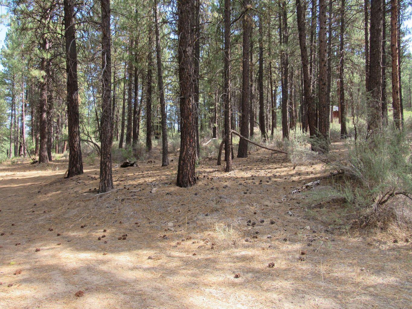 Chiloquin Acres - Land