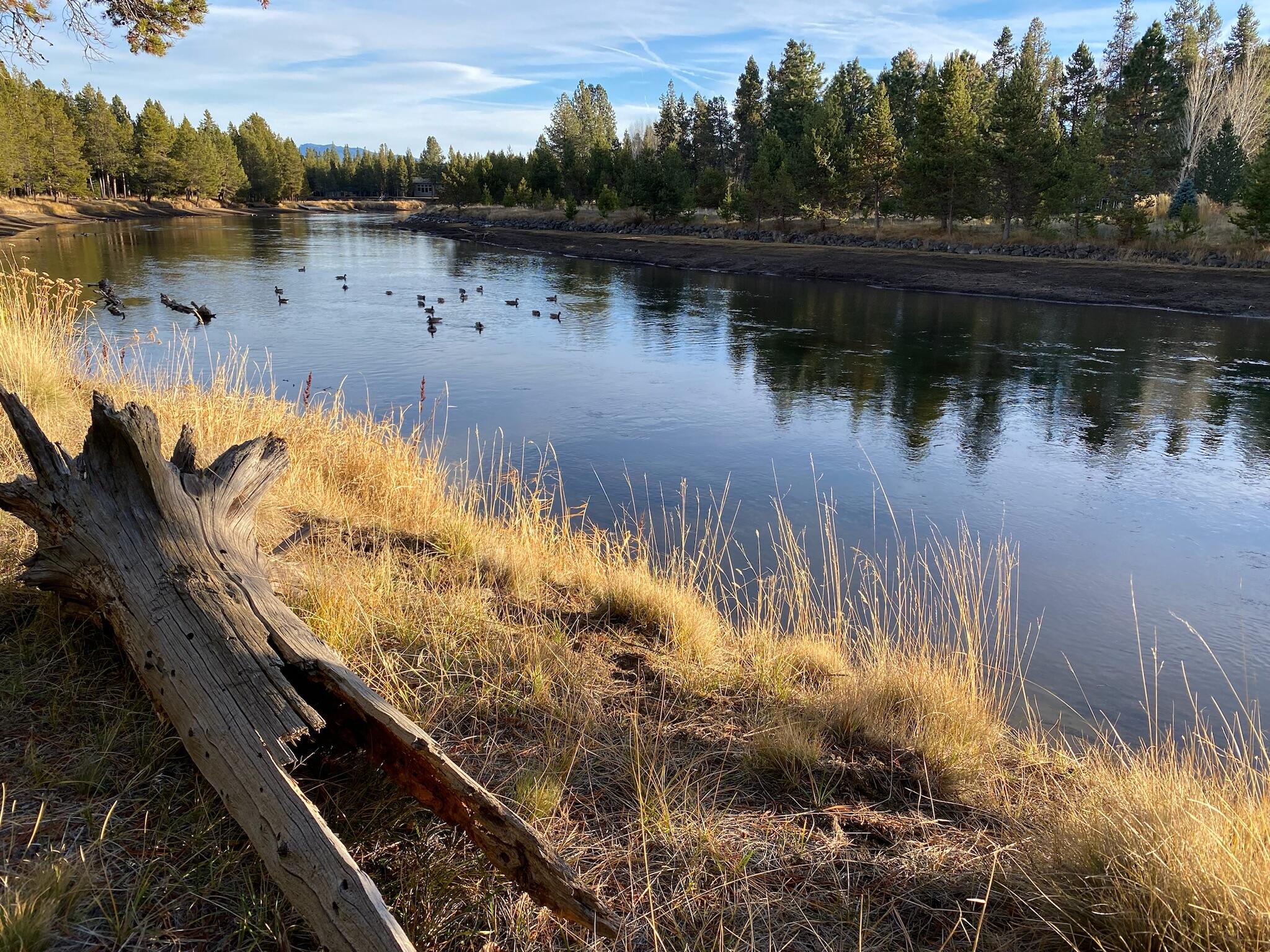 River Meadows - Residential