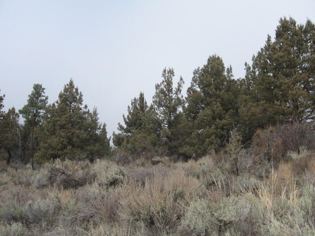 Nimrod River Park - Land