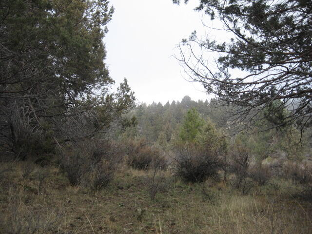 Nimrod River Park - Land