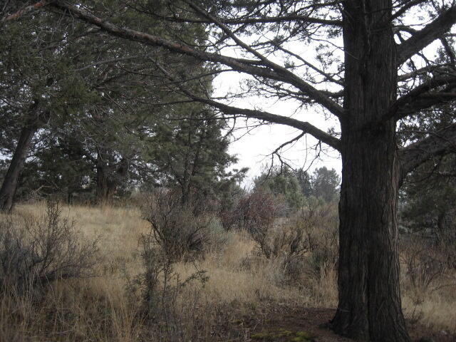 Nimrod River Park - Land