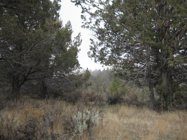 Nimrod River Park - Land