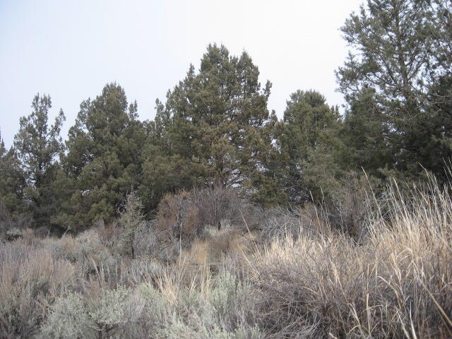 Nimrod River Park - Land