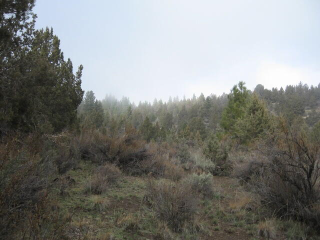 Nimrod River Park - Land