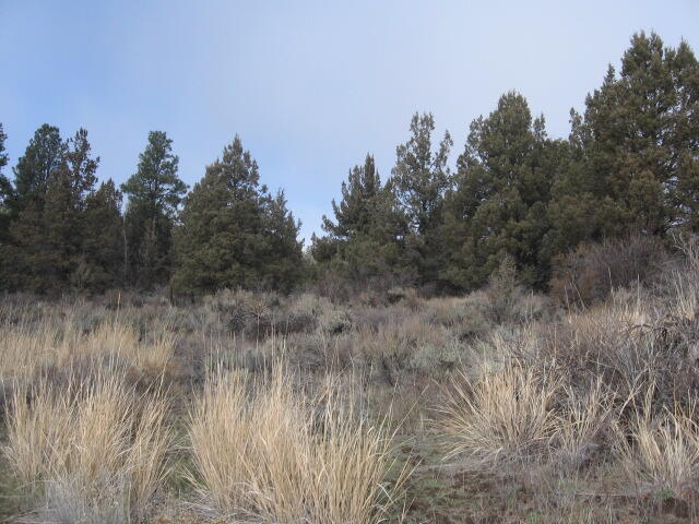 Nimrod River Park - Land