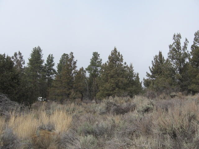 Nimrod River Park - Land