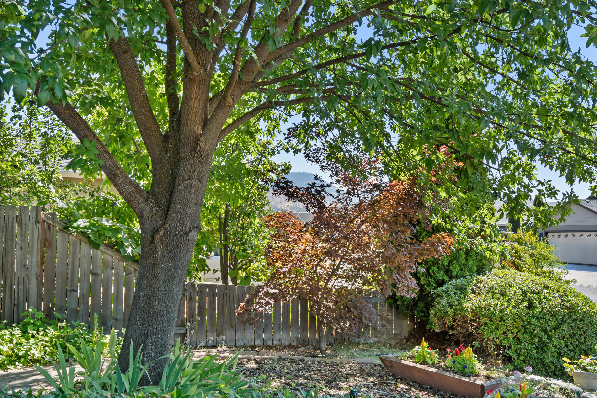 Northeast Estates - Residential