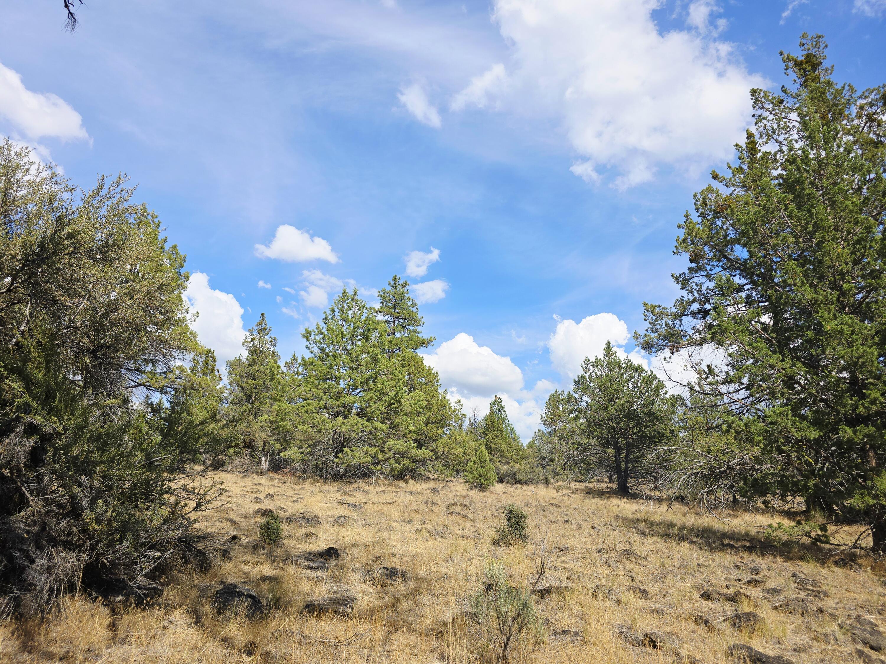 Klamath Falls Forest Estates -Hwy 66 Unit -Plat No. 2 - Land