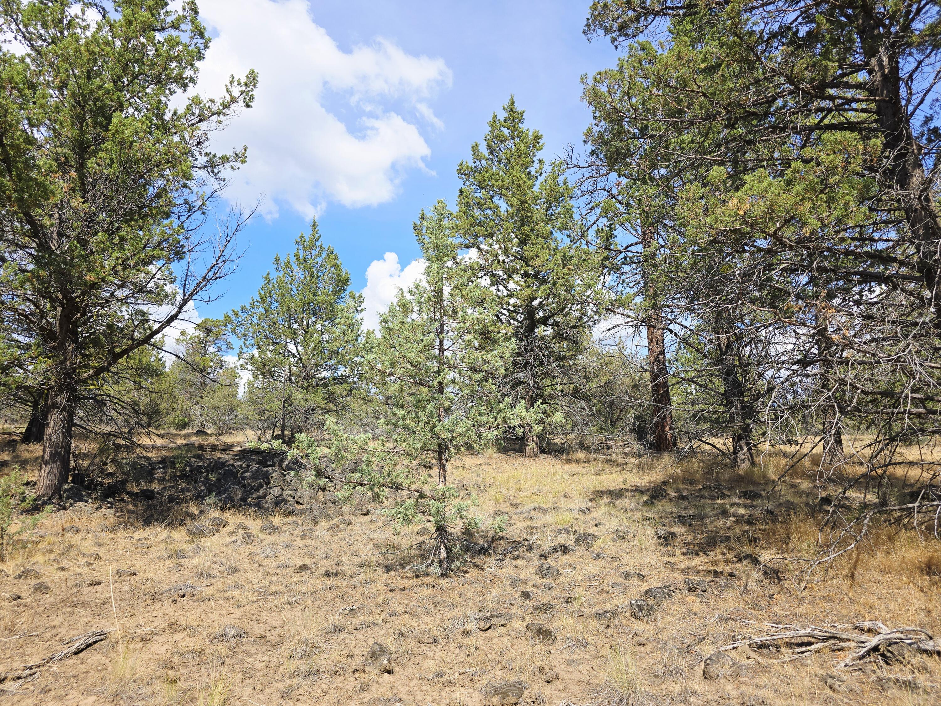 Klamath Falls Forest Estates -Hwy 66 Unit -Plat No. 2 - Land